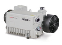 單級油封旋片泵100